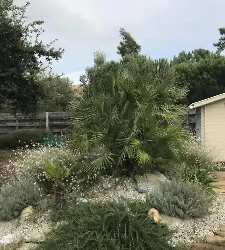 D'architecte 4 Etoiles Et Marche 1km Villa Montalivet-les-Bains