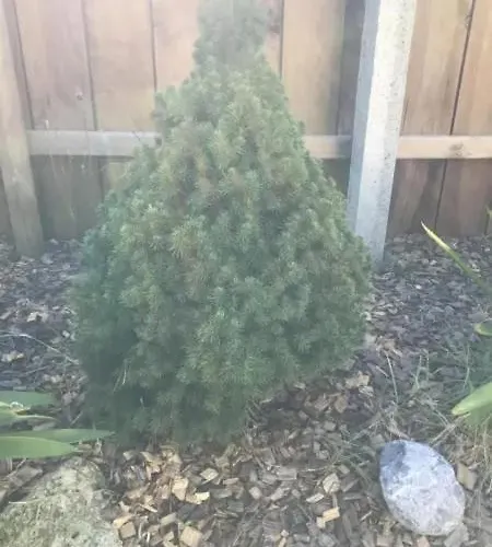 D'architecte 4 Etoiles Et Marche 1km Villa Montalivet-les-Bains