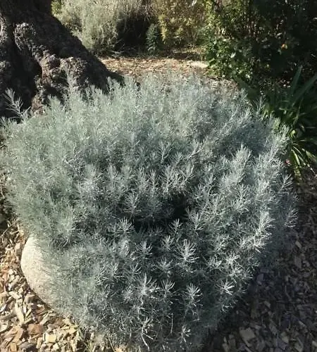 Villa D'architecte 4 Etoiles Et Marche 1km