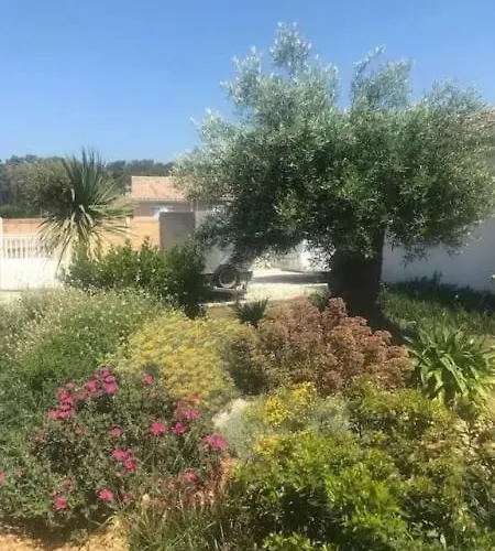 D'architecte 4 Etoiles Et Marche 1km Montalivet-les-Bains